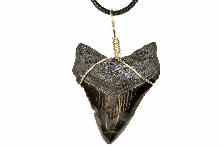 Fossil Megalodon Tooth Necklace #130916
